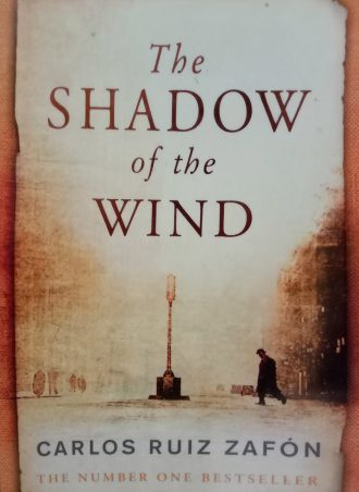 The SHADOW of the WIND