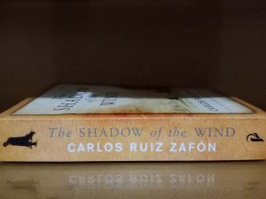 The SHADOW of the WIND