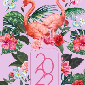 Agenda 2022 - Flamingo