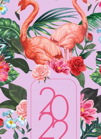 Agenda 2022 - Flamingo
