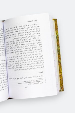 ⁦المفصل في تاريخ العرب قبل الإسلام (10 أجزاء)⁩ - الصورة ⁦5⁩